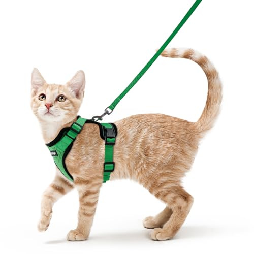 rabbitgoo Harnais Chat Anti évasion avec Laisse Vert Herbe XS, Harnais Chaton Petit Chien Réglable, Arnet et Laisse pour Chat Refléchissant Attache Dessus, Gilet Respirant pour Chiot Lapin