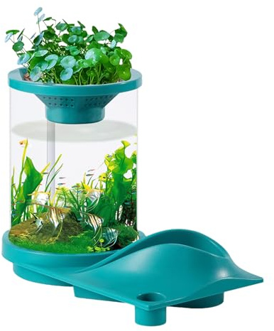 Tank For Aquatic Animals - Translucent Quiet Aquatic Tank With Filter System - Hydroponic Aquaponic Fish Supplies for Aquarium, Workplace, Apartment, Fish Store