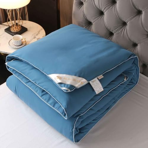 HLTQL Trapunta Matrimoniale, Piumino Invernale Imbottito in Seta di Gelso, Coperta Invernale Matrimoniale, Piumone Invernale Spesso, Piumino Trapuntato Reversibile.(*1,200x230cm/3kg)
