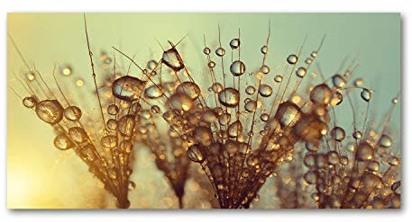 Tulup Leinwandbild - Wandkunst - Drucke auf Leinwand - Leinwanddruck -100x50 cm - Blumen & Pflanzen - Beige - Pusteblume