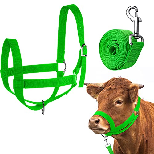 Hillban Cabestro de Vaca Ajustable para Ganado con Cuerda líder para Caballos en Miniatura, Burro, Cabra, Potro, Suministros de Entrenamiento de Ganado (Mediano, Verde)