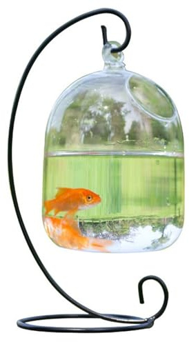 Hängendes transparentes Fischglas mit Ständer, platzsparendes Glasvasen-Aquarium für Zuhause und Büro