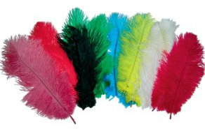 10 Plumes D'Autruche 25/28Cm