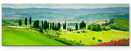 Paul Sinus Art Leinwandbilder | Bilder Leinwand 150x50cm Blumenwiese mit Zypressen Toskana – Italien