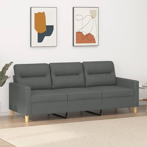 SECOLI Sofa 3 sitzer 3 sitzer Sofa 3er Sofa zweisitzer Sofa Sofas & couches kleines Sofa für jugendzimmer Sofa Wohnzimmer Couch 3 sitzer -Dunkelgrau-Stoff-3sitzer:180cm