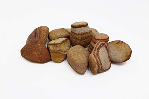 Kiselstenar dekostein sandsten 140 kg från Aquagart I 30–50 mm stora kiselstenar flodsten dekorativa stenar för trädgård jag trädgårdsdamm stenar dammgrus prydnadsstenar prydnadskiesar dekorationsstenar