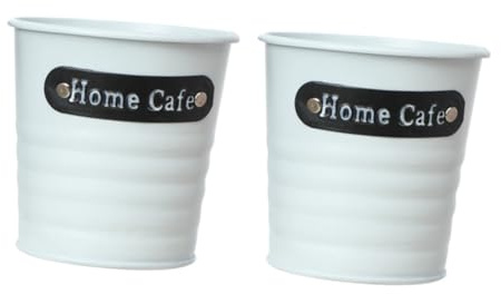 BESTonZON 2pezzi Secchio Per Retrò in Contenitore Per Piantare Decorativo Accessorio Per Foto Adatto Secchi e Piante