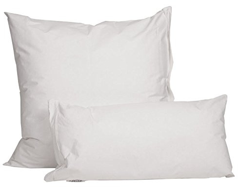 Softsan Kopfkissen Protect Bioactive 40x80 cm speziell für Allergiker Kissen mit integriertem Encasing/Milbenschutz, allergendicht und waschbar