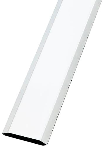 Amig - Tapajuntas para Suelo - 985 mm x 34 mm - Tira de Transición Liso y con Fijación Adhesiva - Cubrecantos Embellecedor para Uniones - Acero Inoxidable 18/8 Plateado Mate