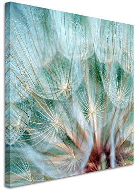 Paul Sinus Art Leinwandbild 60x60cm Naturfotografie – Pusteblumen im Detail auf Leinwand exklusives Wandbild moderne Fotografie für ihre Wand in vielen Größen