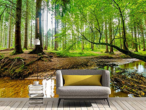Oedim Fotomural Vinilo para Pared Bosque con Arroyo | Mural | Fotomural Vinilo Decorativo |350 x 250 cm | Decoración comedores, Salones, Habitaciones