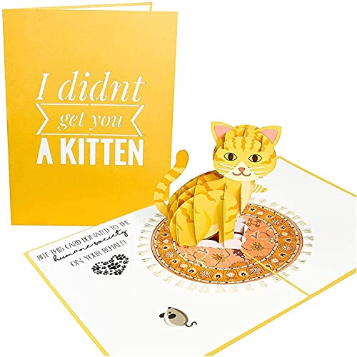 PopLife Gattino Divertente Pop Up Carta - Carta Amante dei Gatti per Tutte le Occasioni - Festa della Mamma, Festa del Papà, Regalo Veterinario - Buon Compleanno, Solo Perché, Guarisci