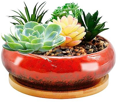 LIDSCURA Vasi bonsai in ceramica da 18,8 cm con vassoio, fioriere poco profonde, fioriere per piante grasse con foro di drenaggio, vasi rotondi grandi e poco profondi, vasi per bonsai decorativi da