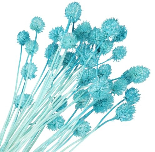 PATIKIL 16 Inch Dried Flowers for Vase, 30 Pcs Mini Pine Ball Flowers Natural Bouquet Bulk Fall Dried Pine Ball Naturally for Home Wedding Bridal Decor Party, Blue(Stem)