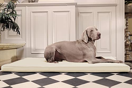 tierlando® Carlos Ortho-Medic Orthopädische Hundematratze aus Kunstleder mit Visco Memory Foam, Größe: 100x80cm | Farbe: 05 Creme