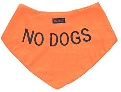 Hunde-Halstuch, gestickte Aufschrift: NO DOGS, orange, modisch, verhindert Unfälle durch Vorwarnen anderer Hunde