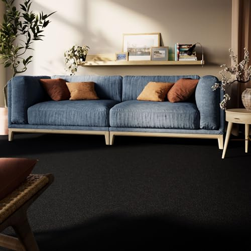 Steffensmeier Teppichboden Cambridge Young Meterware | Auslegware für Kinderzimmer Wohnzimmer Schlafzimmer | Schwarz, Größe: 400x500 cm
