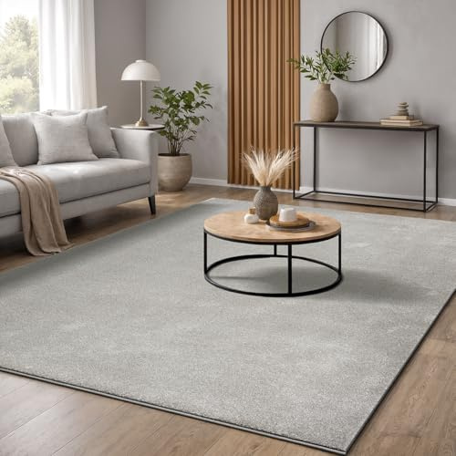 the carpet Marley eleganter Designer Teppich Wohnzimmer, weicher & pflegeleichter Kurzflor Wohnzimmerteppich in Silber, 80 x 250 cm