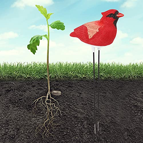 TJLVYCNB Hygromètre de Sol for Plantes Jauge d'eau du Sol Capteur d'humidité du Sol intérieur extérieur for Plantes de Jardin Kit d'outils de Jardinage Capteur d'hygromètre de Sol Détecteur(Rot)