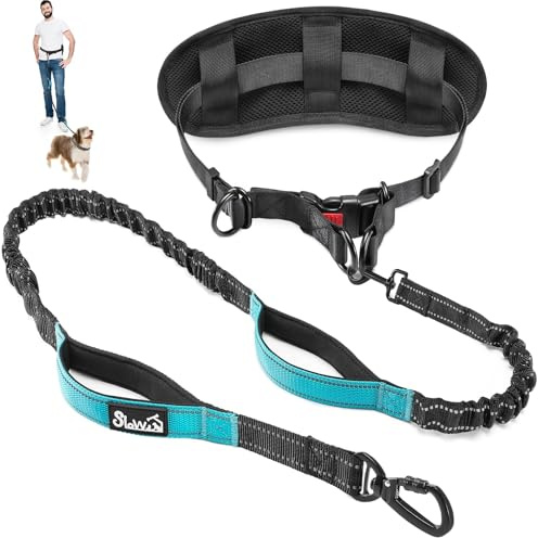 Eyein Hands Free Dog Lead, Anti Pull Dog Waist Lead for Dog Walking Running | Removable Pouch, Reflective Bungee Pet Leash with Dual Handle, Adjustable Training Lead for Medium Large Breed (XL,for 1 Dog)