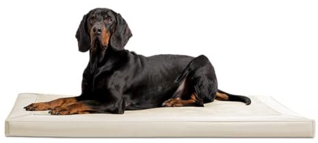 tierlando® Orthopädische Hundematratze Carlos VIP Ortho-Medic Hundematte aus Kunstleder und Velours mit Visco Memory Foam, Größe: 150x100cm | Farbe: 05 Creme