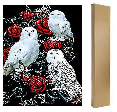 DCIDBEI Diamond Painting Eckige Steine Eulen Rosen 40x50 cm | Square Diamond Painting Schneeeule Rose Stitch Stickerei Diamant Malerei Erwachsene Eule Malen Nach Zahlen Eule Tiere Box
