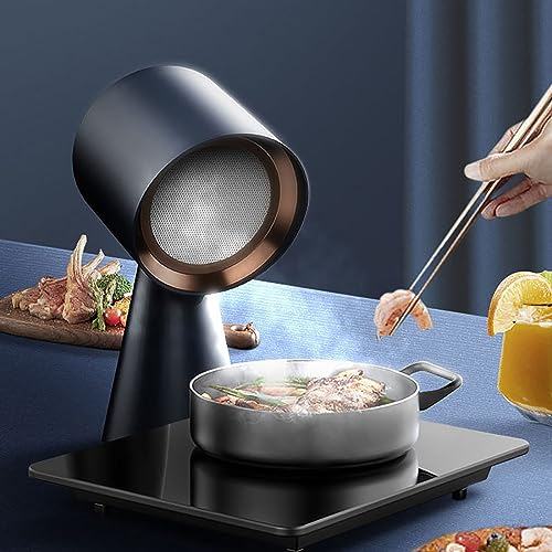 Cappa Aspirante Portatile, Cappa Aspirante Per Barbecue Portatile Da 30 W, Ingranaggi Regolabili a 2600/3600 Giri/min E Forte Aspirazione Da 2 M³/min, Bassa Rumorosità, Adatta Per La Cottura Al Barbec