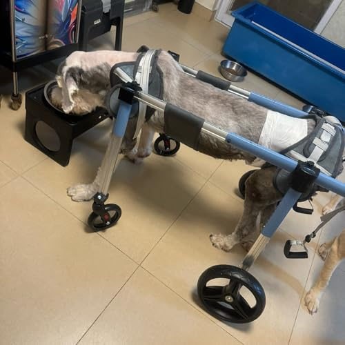 Rimorchio per sedia a rotelle e bicicletta, supporto completo per cani di taglia media e grande, aiuta gli arti deboli e migliora la mobilità