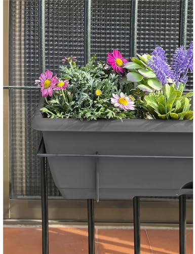 Jardin202 - Jardinera de balcón con Plato y Soporte metálico Incorporado | Macetero de plástico para Colgar | 50 cm (Gris)