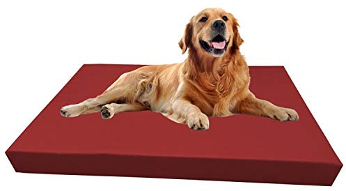 Barry & Lucy® Hundebett aus Kunstleder – Orthopädisches Hundekissen mit abnehmbarem Bezug wasserabweisend & pflegeleicht in 2 Größen Robustes Bett (125x100x10, dunkelrot)
