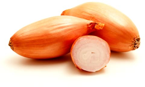 Park Seed Zebrune Shallot Seeds – Heirloom French Variety, Mild Sweet Flavor, Excellent Storage, High-Yield and Cold-Tolerant, Great for Spring Planting and Home Gardens – Pack of 200 Seeds