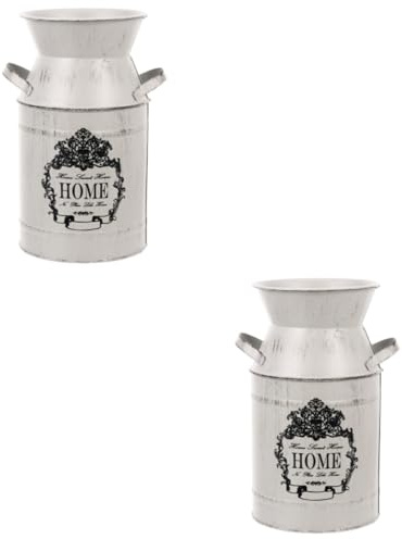 Toyvian 2 Pièces Seau en étain rétro Décor Rustique Ancien pour Les Fleurs Plantes pour Le décor Pot arrosage Bouteille cafetière récipient à Fleurs Seau à Le Fer