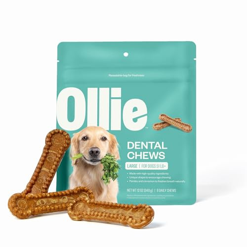 Ollie Dental Chews for Large Dogs, 12 Oz, Fresh Breath, Teeth Cleaning Treats, Sticks for Dog Oral Care, with Parsley and Cinnimon, for Pups 51 lbs and Above