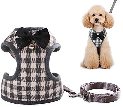 Große Hundegeschirre Hundegeschirr Groß Ohne Zug Großes Hundegeschirr Hundegeschirr Groß Mittelgroßes Hundegeschirr Windhundgeschirr Lange Hundeleinen Lange Leine Lange Leine Hund Blau Hundeleine