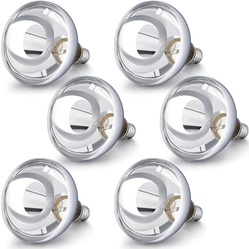 VIHOSE 6 Pack 250 Watt Heat Lamp 120v R40 Heat Lamp Bulbs Glass Incandescent Light Bulbs Incandescent Heating Lightbulbs for Reptiles Chicks Food Puppies Bathroom, Use E26 Base (Silver)