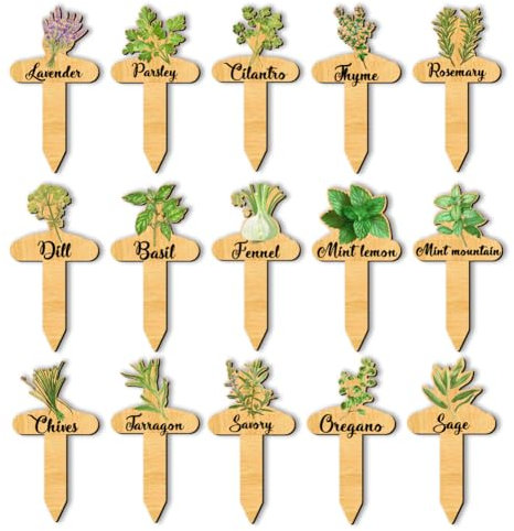 arricraft - Lote de 15 etiquetas de nombre para plantas, hinojo salvia eneldo albahaca marcadores de plantas de madera con diseños de etiquetas de jardín tipo T signo para semillas de plantas de