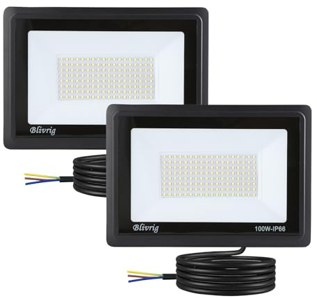 Blivrig Focos LED Exterior 100W 2 Piezas, Foco Exterior Blanco Frío 6000K | 10000LM Súper Brillante, IP66 Impermeable, Ángulo de 120°, para Garaje, Patio, Jardín, Terraza