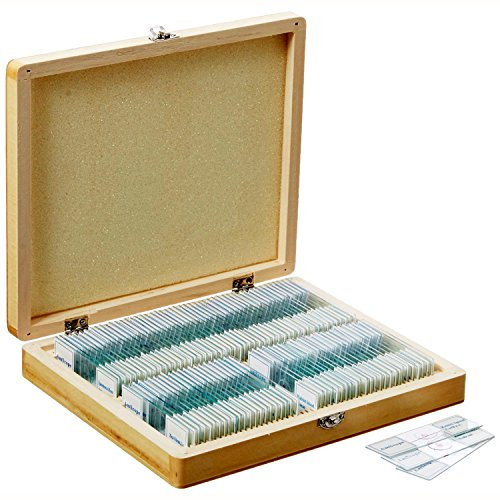 AmScope PS100A Vorbereitetes Objektträger-Set für die Daturwissenschaftliche Grundausbildung, 100 Objektträger, Set A, inklusive Holzkoffer