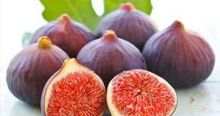 30 PCS Rare Ficus carica Bursa Große Seltene Feigenbäume Samen E30