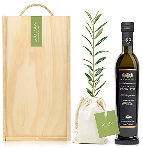 Set Gourmet Regalo Olivia Premium con árbol olivo natural para plantar y aceite de oliva virgen extra – Árboles para plantar – Regalos originales y naturales