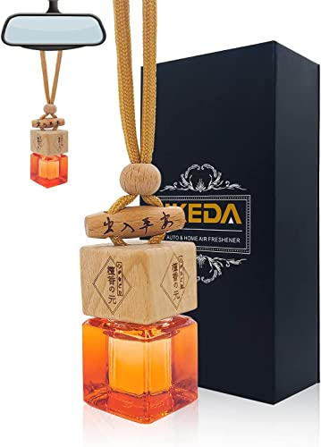 Ambientadores de Coche | Colgar Colgante Difusor para Coche | Fragancia Fuerte y Duradera | Accesorios Regalo de Coche para Hombre y Mujer (COCONUT)