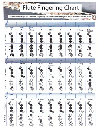 Flöten-Akkordtabelle, Tragbare Flöten-Grifftabelle, Weiße Akkordtabelle Zum Üben des Flöten-Fingersatzes, Flöten-Griff-Akkordtabelle für Anfänger, (Flötengrifftabelle für