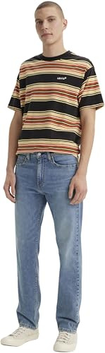 Levi's 505 Regular Hats Off, Hats Off, 29W / 32L