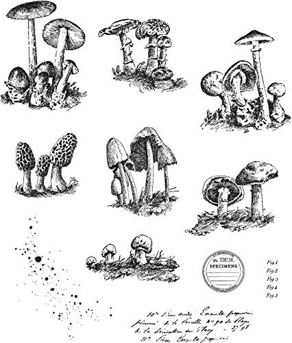 Tim Holtz – Stampers Anon Cling RBBR Stempel-Set, winzige Fliegenpilze