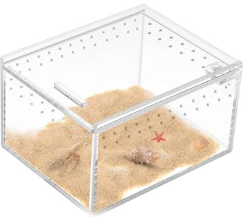 Reptil Fütterungsbox 10x8,5x6cm Transparent Acryl Reptilienzuchtbox Mini Terrarium für Spinnen, Eidechsen, Skorpion, Käfer, Geckos
