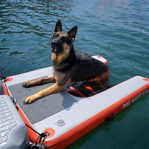CHZDPP scaletta per Cani da Barca Rampa Gonfiabile per Cani, Scala Galleggiante per Piscina per Animali Domestici, rampa acquatica per Cani con Tappetino Antiscivolo in Eva(Color D)