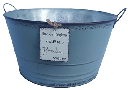 Kelisdi Contenitore per piante in metallo resistente con doppia impugnatura, adatto per piantare da tavolo all'interno e all'esterno per orticoltura, facile da pulire