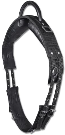 WALDHAUSEN Longiergurt mit Handgriff, WB, schwarz