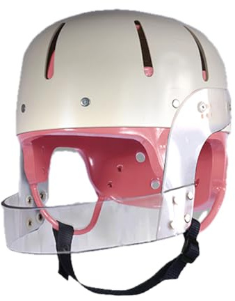 Danmar Hard Shell Helmet with Face Bar (Small, Pink)