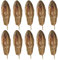 matches21 Zerdrachgewächse Mehogni am Stiel Naturdeko Dekozweige Herbst Trockenpflanzen getrocknet Natur 10 er Set